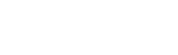 light logo